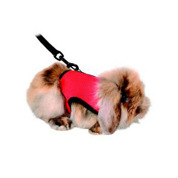 SOFT RODENT HARNESS FOR RABBITS & GPIGS