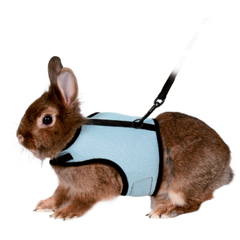 SOFT RODENT HARNESS FOR RABBITS