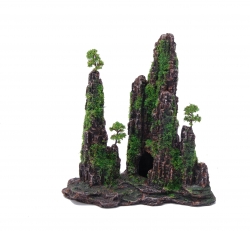 MOUNTAIN WITH MOSS