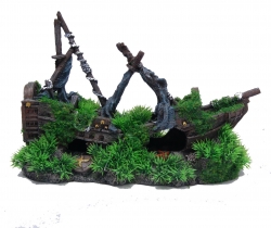 SHIPWRECK WITH MOSS