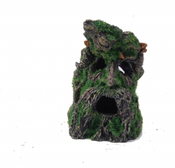 TREE STUMP FACE WITH MOSS