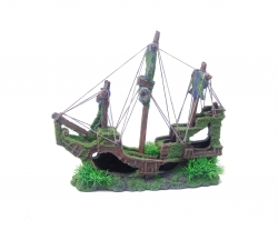SAILING SHIP WITH MOSS