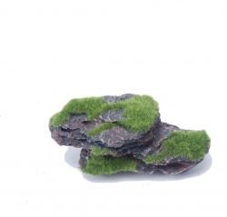 FLAT ROCK WITH MOSS