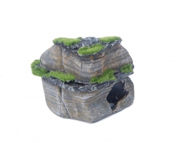 DOUBLE FLAT ROCK WITH MOSS
