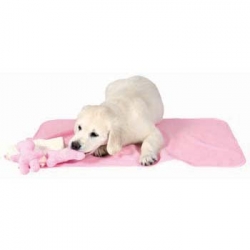 PUPPY KIT W BLANKET TOYS & TOWEL PNK - Click for more info