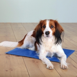 COOLING MAT XXL 110 X 70 CM BLUE - Click for more info