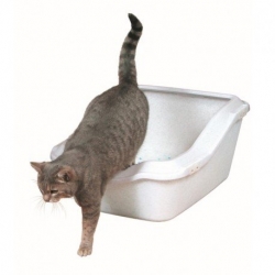 CLEANY CAT CAT LITTER TRAY WITH RIM 45X29X54CM