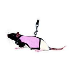 SOFT RODENT HARNESS FOR GPIGS & RATS - Click for more info